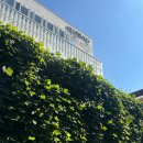 사랑그림작은도서관 | [강의 후기] 덕천도서관 그림책 특강: 1-2학년, 토요일 5회기(2025)