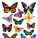 나비초등학교 이미지