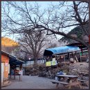 모아꽃방 | 혼자는못해 찜질방 선우용여 양평 숯가마 사우나 닭볶음탕 고등어구이 위치 가격 후기