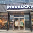 스타벅스비프(BIFF)광장점 | 남포동 비프광장 스타벅스 딸기 말차 케이크 맛본 후기