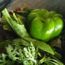 나들농장 이미지