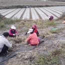 농원마을경로당 이미지