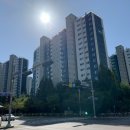 향남사랑약국 이미지