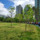 동작구치매안심센터 이미지