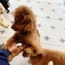 개릉도원 네이버블로그