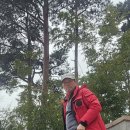 도성당구장 네이버블로그