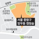 캠핑숲