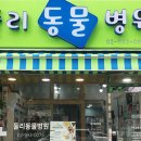 동물사랑세상 의료센터 이미지