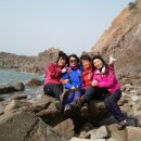 매직로즈