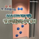 프렌들리 | 포스코 STAY 1538 평창 시설 및 숙소 후기 (펫 프렌들리존)
