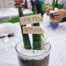 가포초등학교 이미지