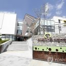 나무어린이집 이미지