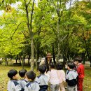 💚10.14 사랑하는 풀잎반의 10월 숲체험 활동-가을 숲에서 놀아요🍁🍂🌰💚 이미지