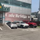 수원-0894 | 수원 팔달구 애견 카페 브릿지 내돈내산 소형견의 방문후기(중대형견이 가기 좋은 애견카페)