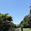 중문색달해수욕장 이미지