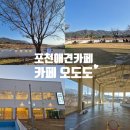 견미소 | 포천애견카페 카페오도도 애견운동장 힐링후기