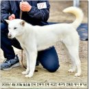 사연동로 이미지