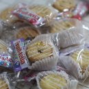 은평국제유치원 이미지