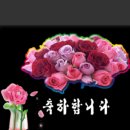 든든한송도의원 Daum카페