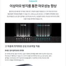 더타이어샵화전점 이미지