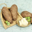 참농농장 이미지