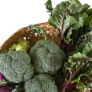 민정농장 이미지