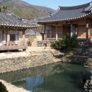 연당1로 Daum카페