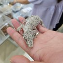 건이네 파충류 | [울산/삼산] 건즈하우스카페 / 파충류카페, 울산 이색카페, 아이 데리고 갈만한 곳, 솔직후기