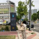 카페 첨산 | 포항 환호동 카페, 심리상담받고 이색데이트하자 블루디어