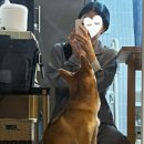 레지나학원