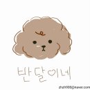용용이네 | 추운 겨울날에 좋은 청주 동남지구 애견카페 용용이네 옥상 방문 후기!