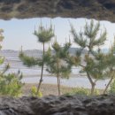 섬마을민박 이미지