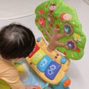 왕성체육관 이미지