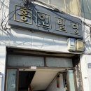 561 | 찰나의 순간을 소중하게 담는 곳, 필름 카메라 감성 스튜디오 561STUDIO결기 촬영 후기