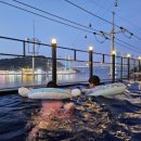 용비치관광호스텔 이미지