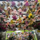 이쁘개 | 고양 꽃박람회 일산 호수공원 아기랑 함께 피크닉 다녀온 후기