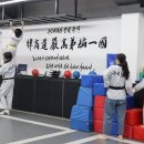 유성태권도장 이미지