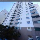 완월동245 이미지