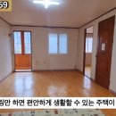 G1159 이미지