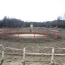 통도승마랜드 이미지