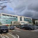 영남미술사