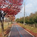 정읍어린이교통공원 | 정읍어린이교통공원 단풍