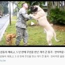 개편한세상 이미지