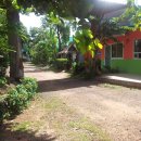 산골자전거 이미지