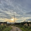 대송 재가복지센터 이미지