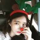 러브댕 네이버블로그