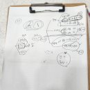 로아동물병원 이미지