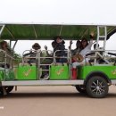 갯골생태공원(캠핑장) 이미지