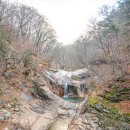 산아래나물천지