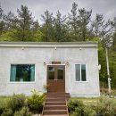 포레스트 | [충남 보령 카페] 라벤더 포레스트 후기｜성주산 뷰·깜빠뉴 맛집